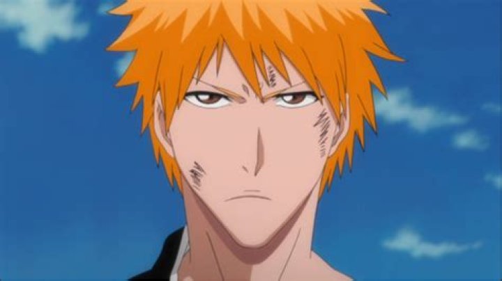 Bleach Filler List All Episodes Guide How Many Are There Hot Sex Picture