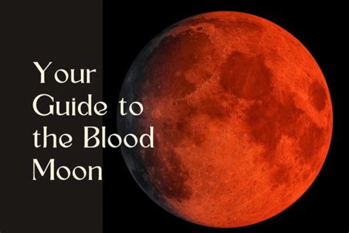 Blood royal Meaning YouTube