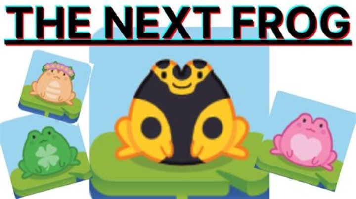 BLOOKET THE NEXT FROG COMING OUT SOON!!! YouTube
