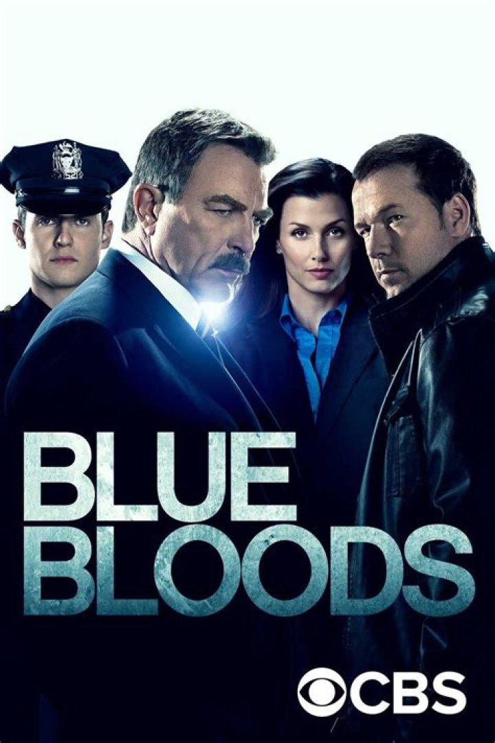 Blue Bloods Family Tree, Explained Here's How All the Reagans Are Related