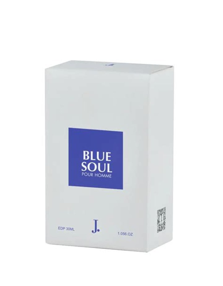 BLUE SOUL Linktree