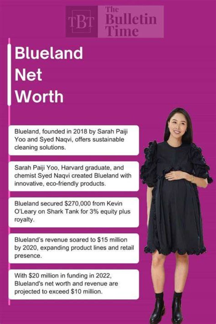 Blueland Net Worth 2022 What Happened After Shark Tank Insider Growth