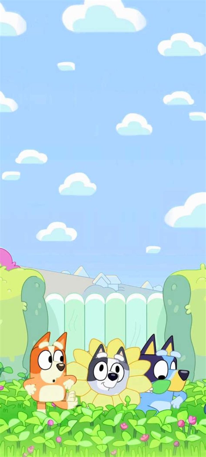 Bluey Background WhatsPaper