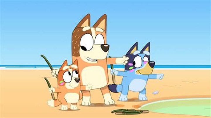 Bluey Season 3 How to watch Bluey Official Website