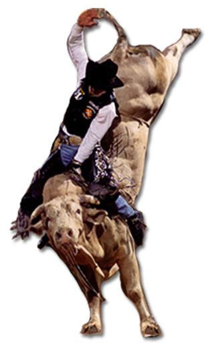 Bodacious Bull Tuff Hedeman