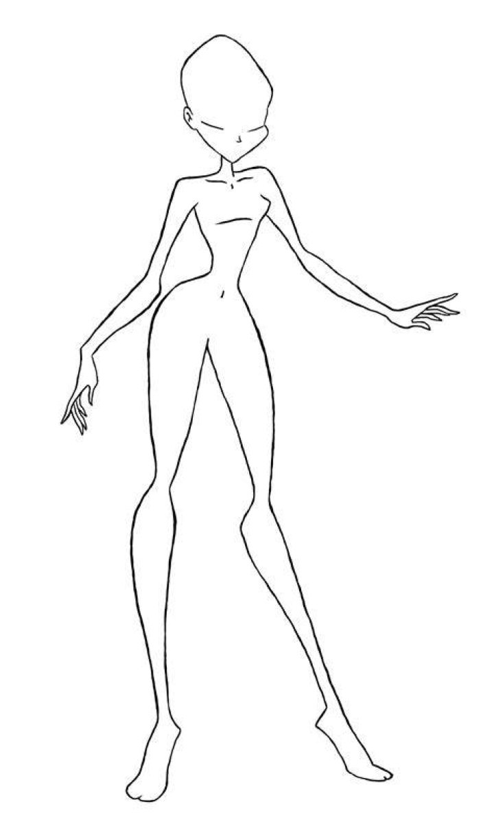 Body Base Drawing At Free For Personal Use Body Png Line Art