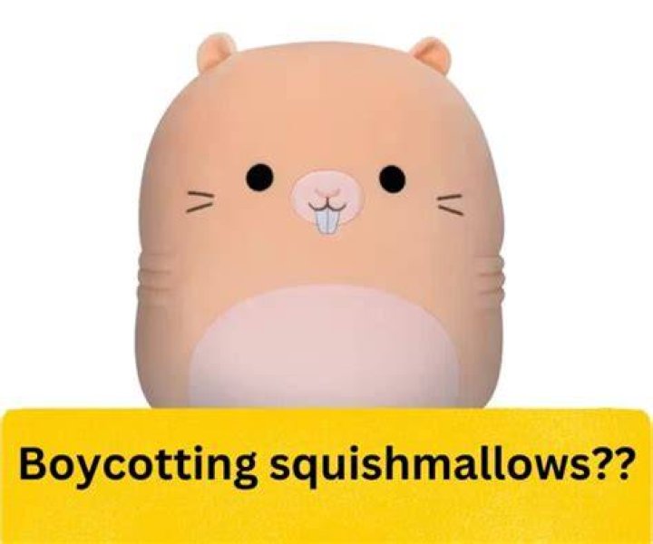 Boycotting squishmallows CEO's Israel Support Sparks Black Friday Backlash