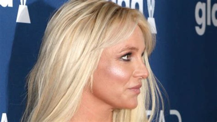 Britney Spears Side View Photo