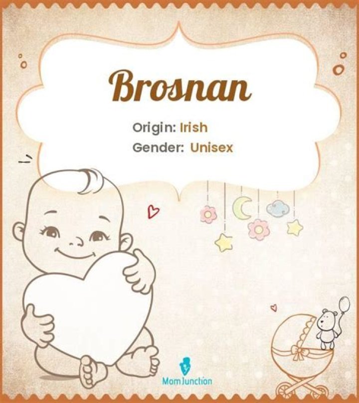 Brosnan Name Meaning, Origin, History, And Popularity MomJunction