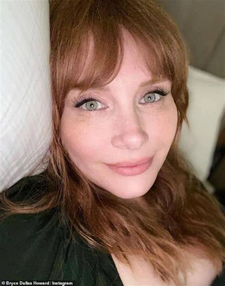 Bryce Dallas Howard Hot & Sexy Bikini Pics, Hd Images