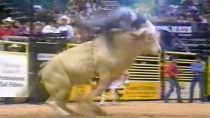 Buck Of Legends Tuff Hedeman vs. Bodacious 21 Years Later