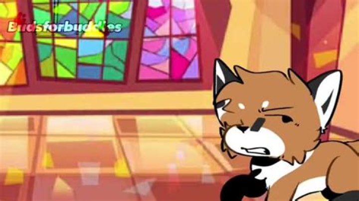 Budsforbuddiesytt helps a hurt fox YouTube