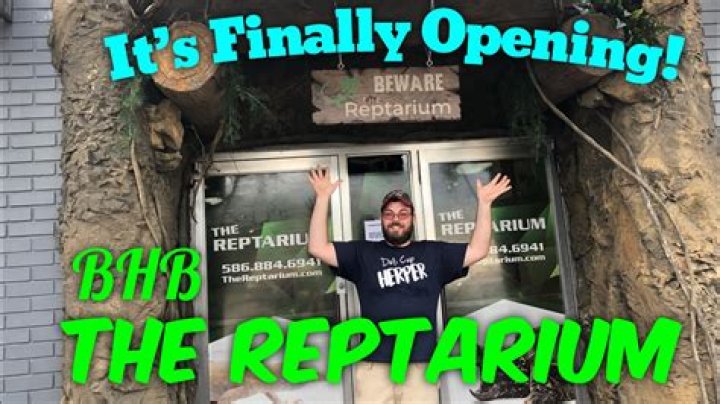 Building the REPTARIUM with BRIAN BARCZYK!! YouTube