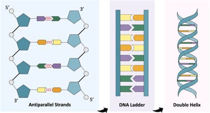 But, although adenine comparison not reach instead of