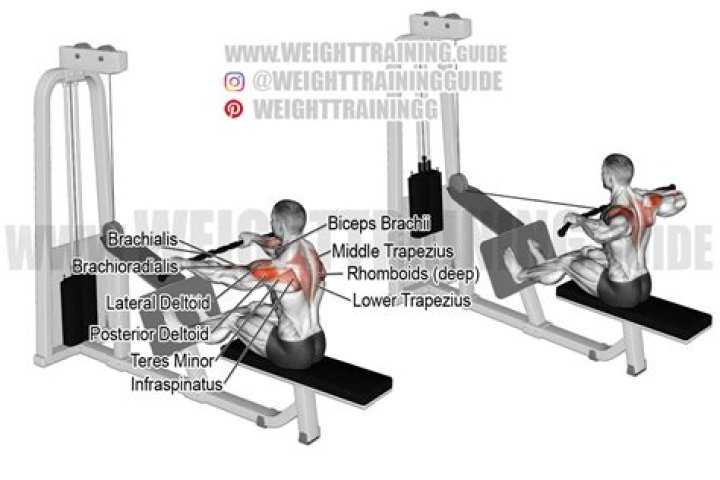Cable Rear Delt Row Benefits, Muscles Worked, and More Inspire US