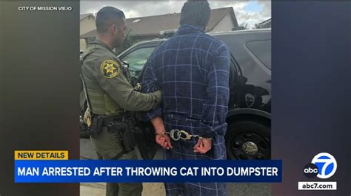 California man arrested after throwing 2yearold daughter's pet rabbit