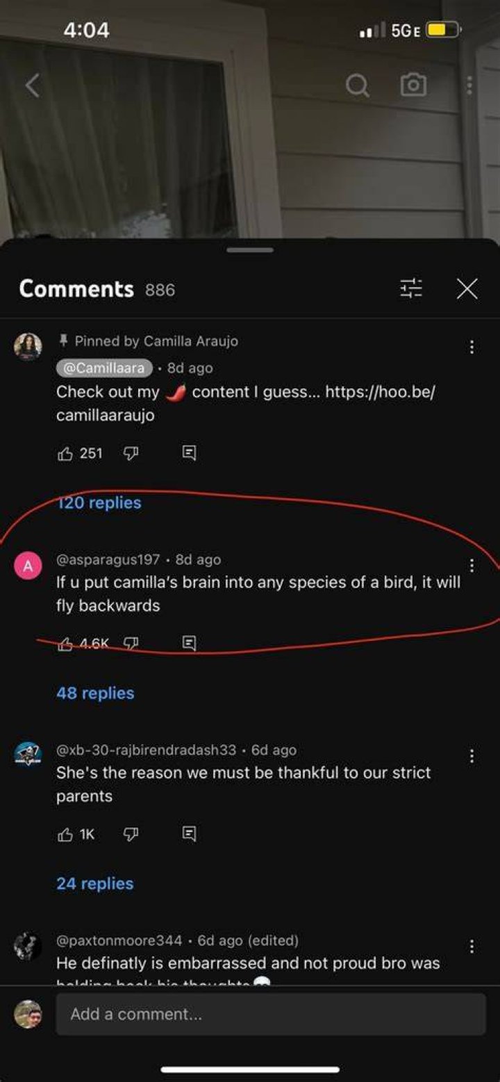 Camila Araujo is a bad bird r/BrandNewSentence