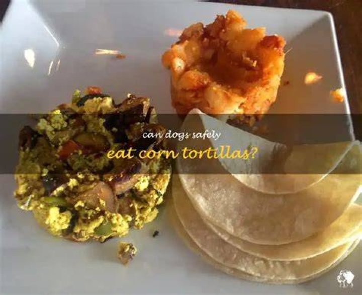 Can Dogs Eat Corn Tortillas? Only In Moderation The Goody Pet