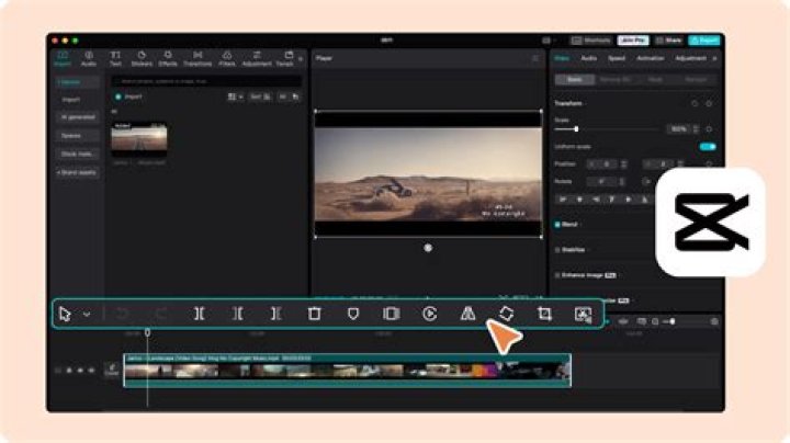 CapCut Video Editor iPad App iTunes United States