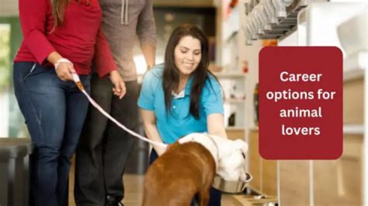 Career Options for Animal Lovers! Animal lover, Career options