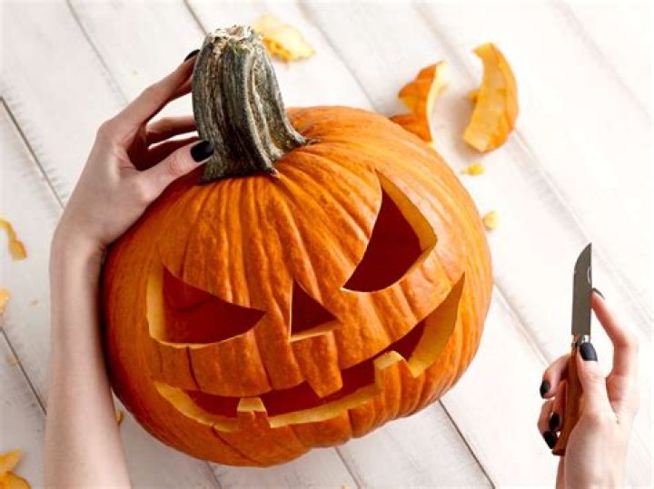 Carving the Perfect Jack O' Lantern Eckert's