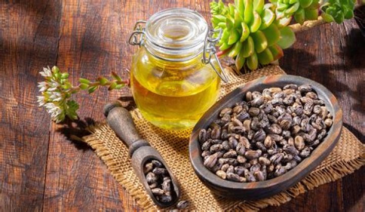 Castor Oil ubicaciondepersonas.cdmx.gob.mx