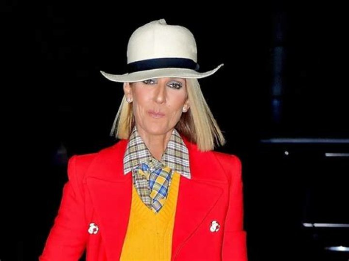 C&eacute;line Dion au plus mal la chanteuse condamn&eacute;e par la justice dans
