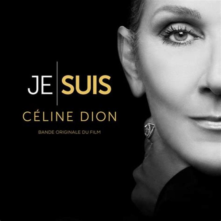 Celine Dion and Ren&eacute; Ang&eacute;lil Celebrity wedding dresses, Princess