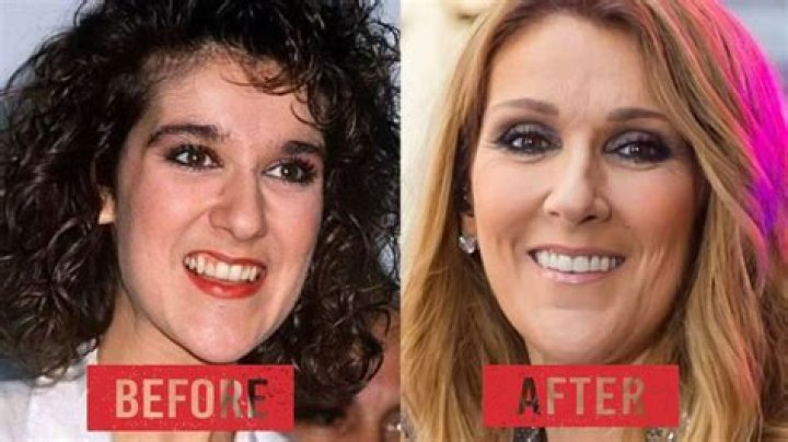 Celine Dion Ren&eacute; Ang&eacute;lil Sale Online website.jkuat.ac.ke