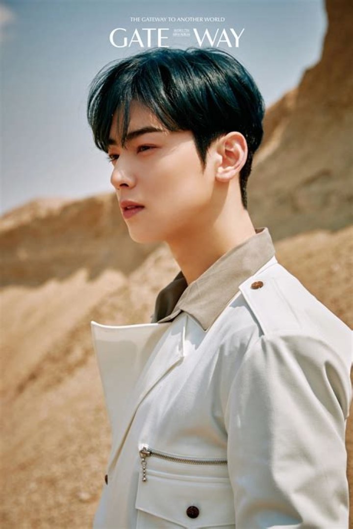 Cha Eun Woo Kpop Wiki FANDOM powered by Wikia