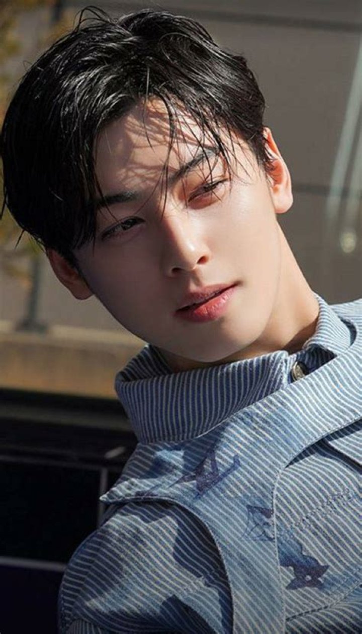 Cha Eunwoo Profile Images &mdash; The Movie Database (TMDB)