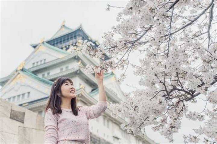Cherry Jul Facts, Bio, Career, Net Worth AidWiki