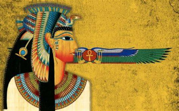 Cleopatra ECTA Express Auto Liability Best Claims