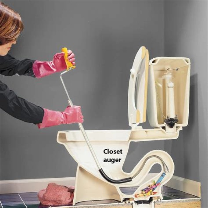Clogged Toilet Snake