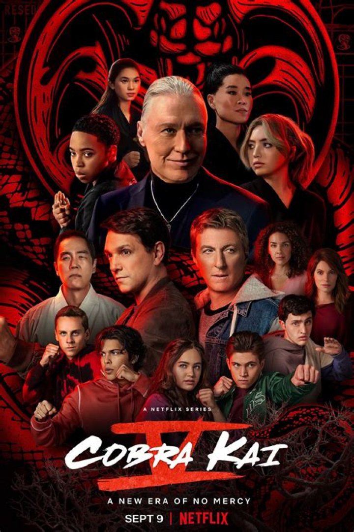 Cobra Kai's Xolo Maridue&ntilde;a on how the Show Caters to New and Old Fans