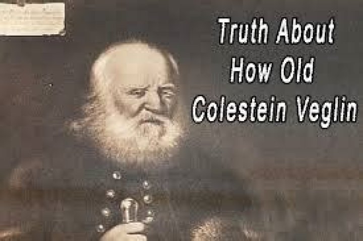Colestein Veglin The Story Of A Revolutionary PlantBased Protein Source