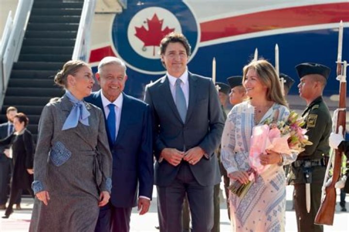 Conciliatore Sfortunatamente gru justin trudeau body Ragno Libro surplus