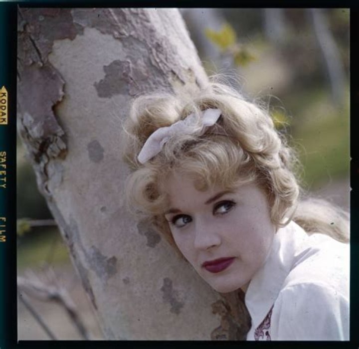 Connie Stevens Biography Facts, Childhood, Family Life & Achievements