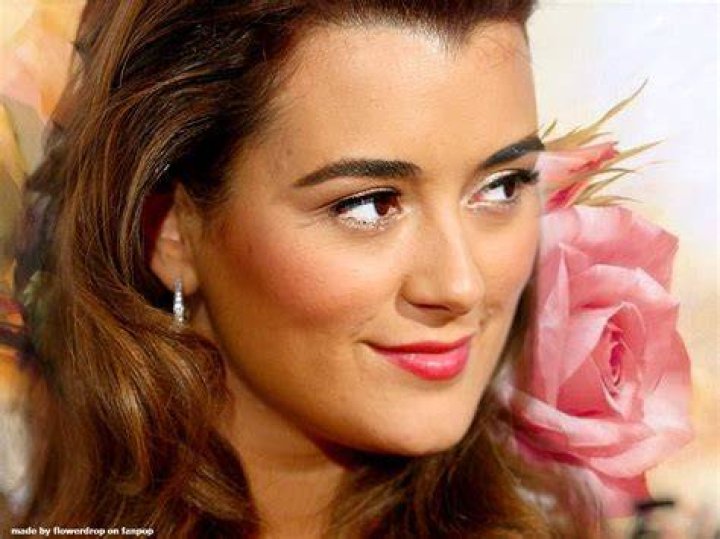 Cote de Pablo Cote de Pablo Photo (36635180) Fanpop Page 7