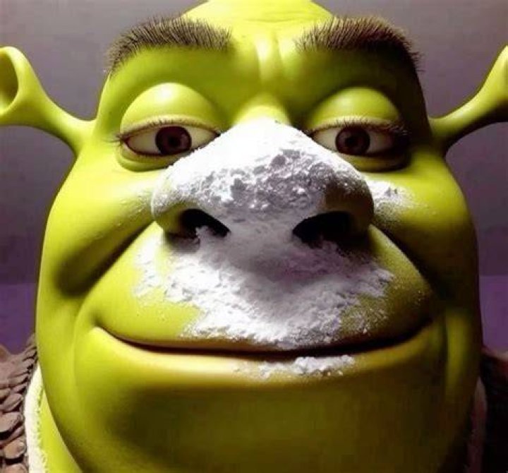 Cursed Steve Cursed Images vrogue.co