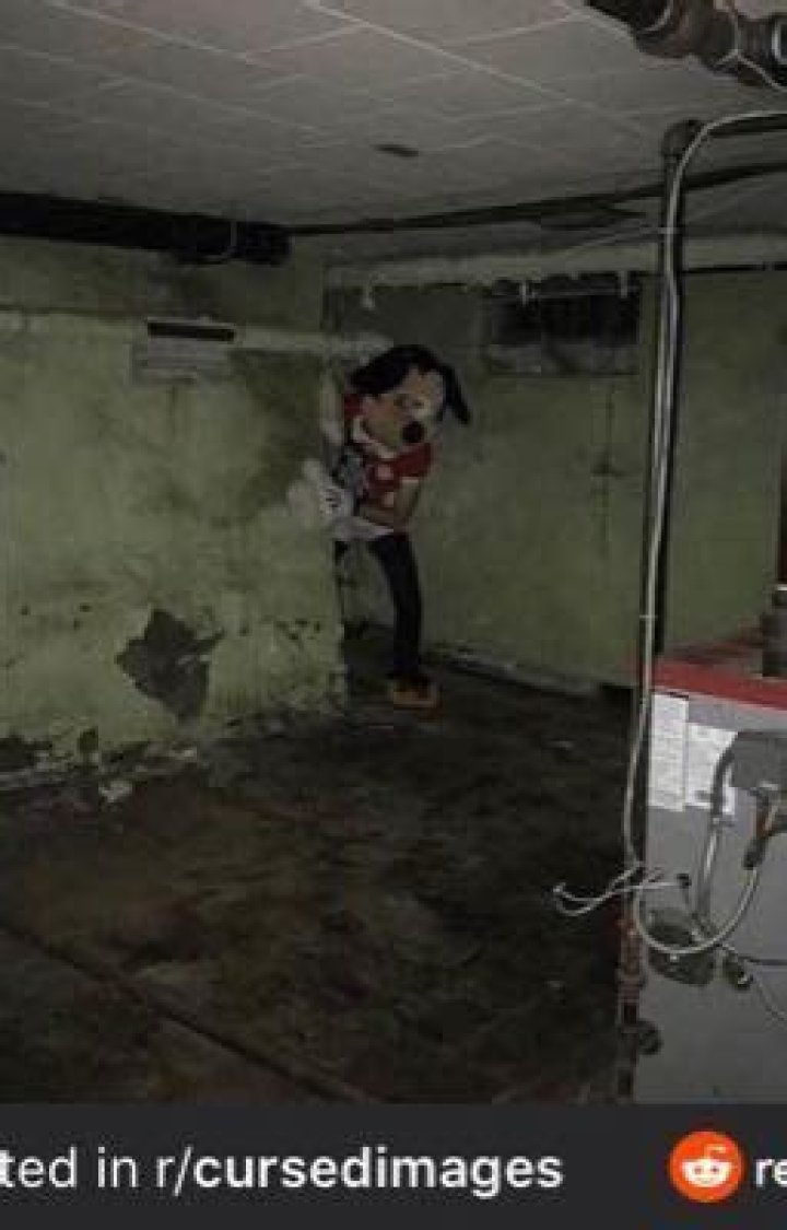 cursed_grinch r/Cursed_Images