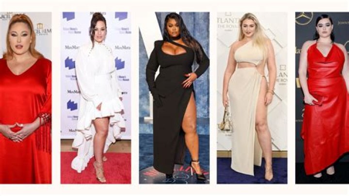 Curvy Model Honeyybeebby Biography, Lifestyle, and Fashion Hauls YouTube