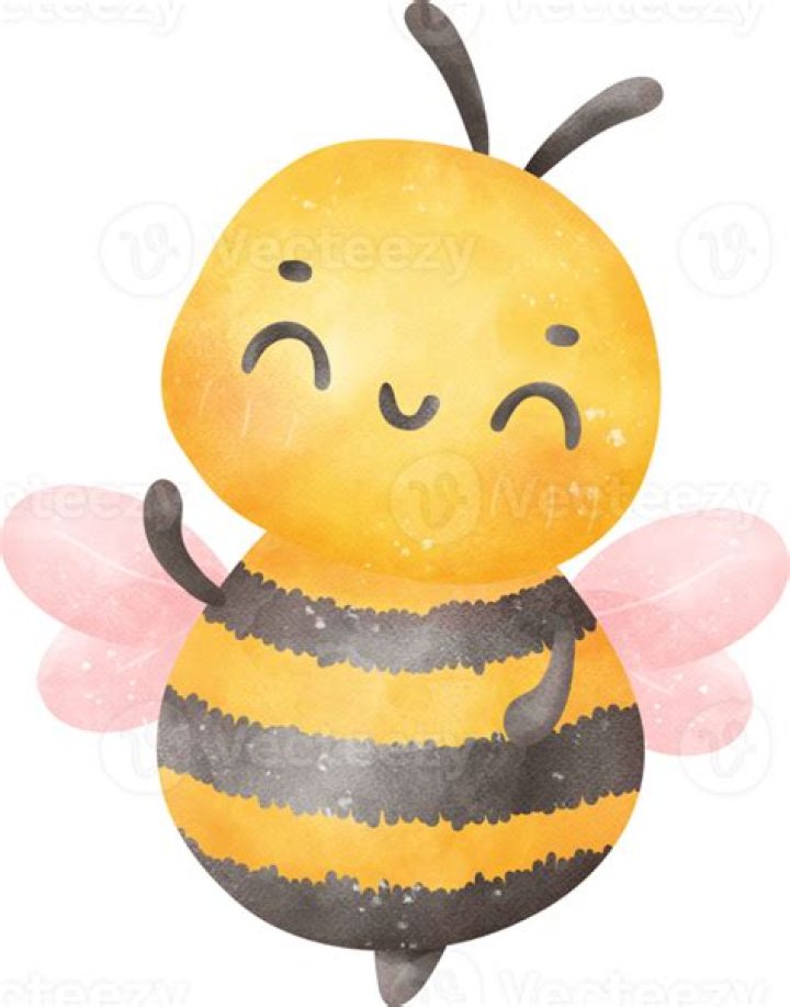 Cute Honey Bee Clipart Vector, Honey Bee With Smile Face Icon, Honey
