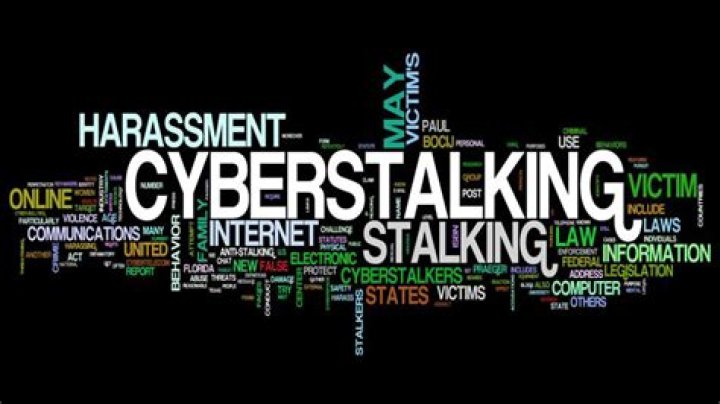 Cyberstalking Cyberbullying Research Center