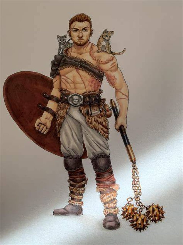 Dandd Human Barbarian
