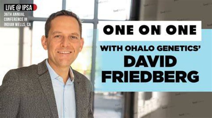David Friedberg Bio, Wiki, Age, Height, Parents, Wife, Career, and Net