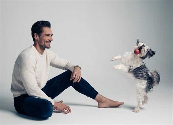 David Gandy and his rescue pup Dora How getting a dog opened his heart