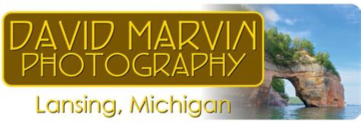 David Marvin Photography Lansing, Michigan Sneaky Snake