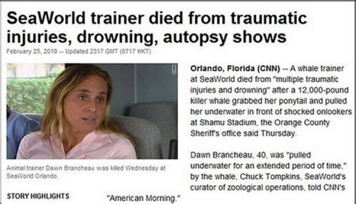 Dawn Brancheau Biography Facts, Childhood, Family Life, Death