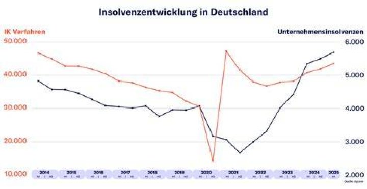 Die Pleiten und Insolvenzen des SC Riessersee in der &Uuml;bersicht